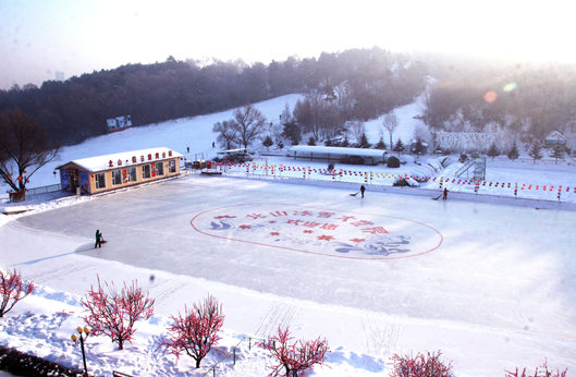 ng电子游戏·(中国区)官方网站