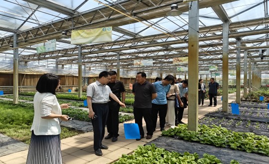 2024年6月27日，中国绿色食品发展中心有关辅导光临农业总公司调查调研_副本.jpg